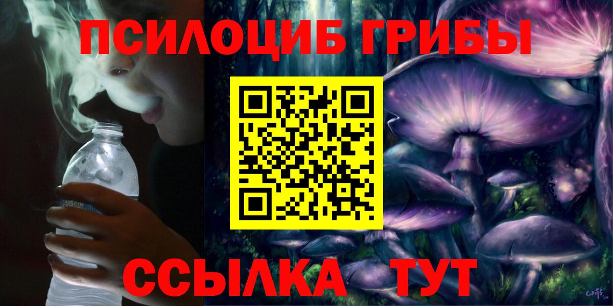 Галлюциногенные грибы Psilocybine cubensis Кудрово